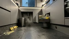 Kakerlaken in der Küche: Warum Zitronenduft wirkt – und welche Hygienegriffe den Effekt verstärken